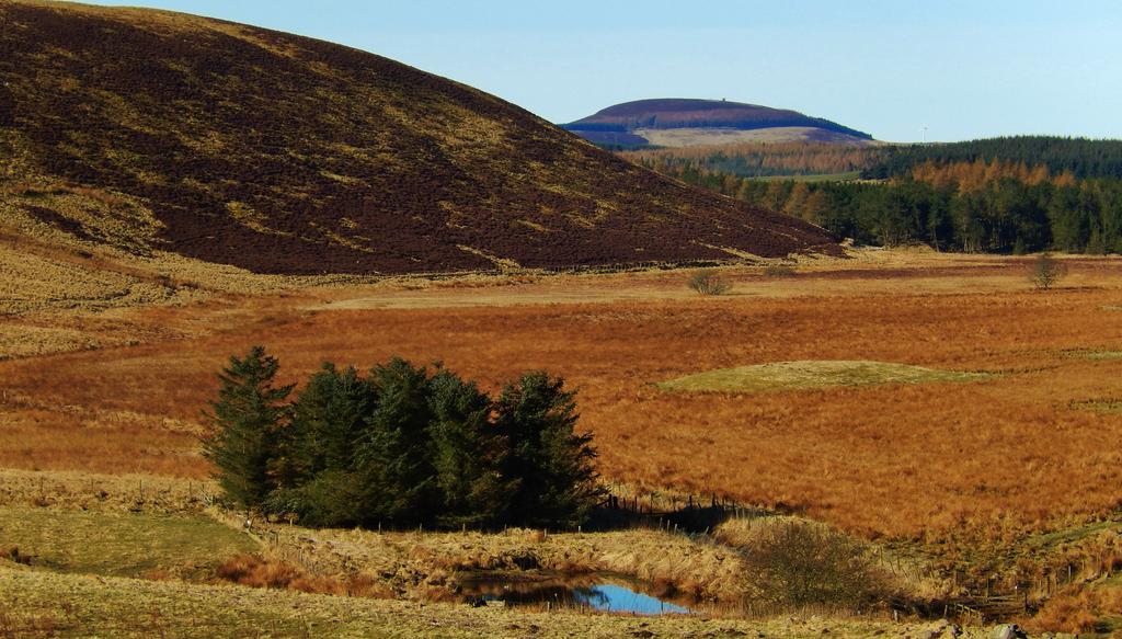 Scotland Paradise Relax Accommodation By Shooting Club Kirriemuir Balintore Kültér fotó